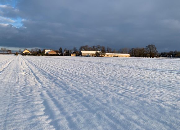 2021-Winter-Rengerslage-56 Rengerslage