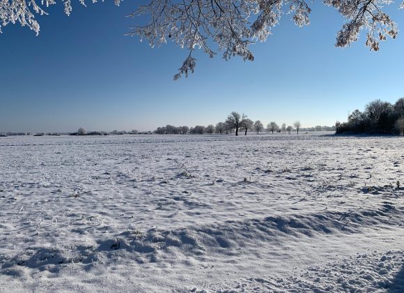 2021-Winter-Rengerslage-61 Wasmerslage