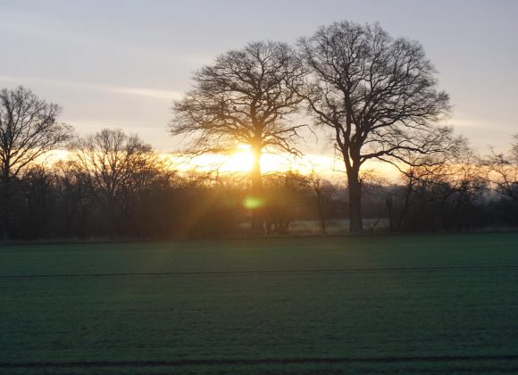 2025-Wolterslage-1 Wolterslage